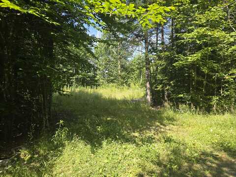 Lot 36-3 Partridge Lane, Linneus, ME 04730