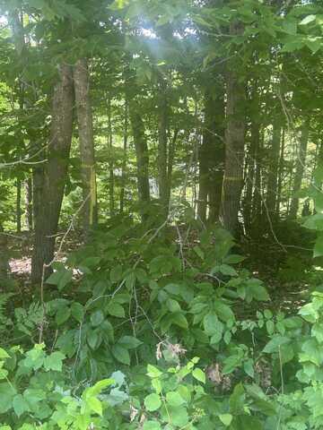 018 Canton Mtn Road, Jay, ME 04239