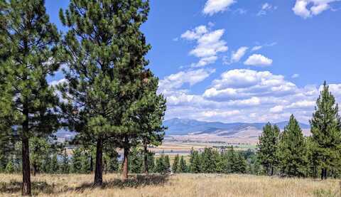 Leiber Road lot: 29, Plains, MT 59859