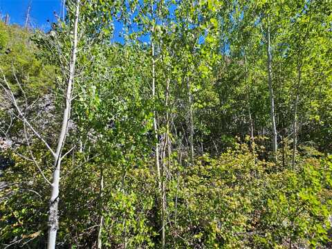 80 Upper Packer Gulch Road, Drummond, MT 59832