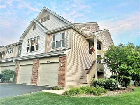 3003 SAGANASHKEE Lane, Naperville, IL 60564