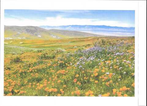 0 Cooperstown Rd, Philo, CA 93453