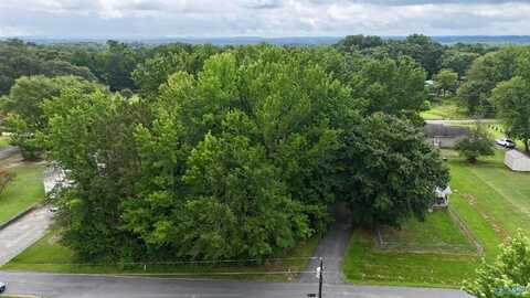 .34 Acre Lot Robinhood Way, Fyffe, AL 35971