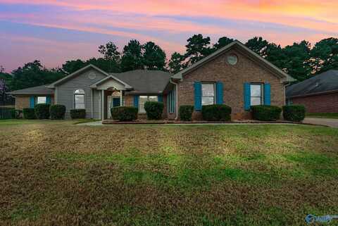 107 Wandering Lane, Harvest, AL 35749