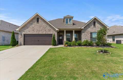 133 Rita Ann Way, Meridianville, AL 35759