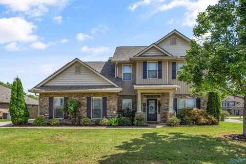 247 New Bristol Lane, Madison, AL 35756