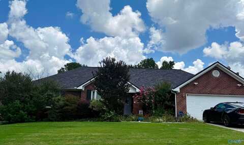 223 Blackwater Drive, Harvest, AL 35749
