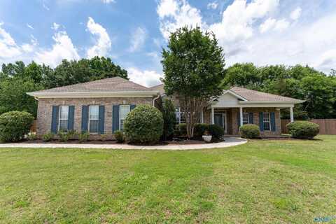 112 Blanca Drive, Harvest, AL 35749