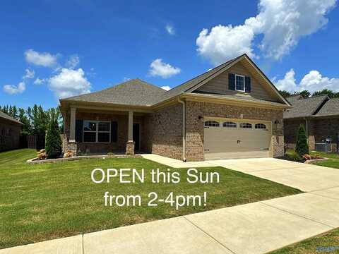 9574 Abington Cove Boulevard, Madison, AL 35757