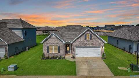 16915 Hollings Trail NW, Harvest, AL 35749