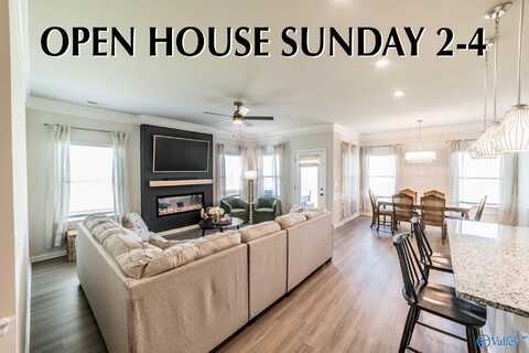 16915 Hollings Trail NW, Harvest, AL 35749