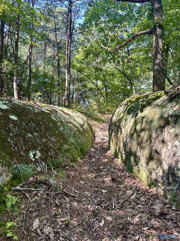 16 +/- Acres Road 934, Mentone, AL 35984