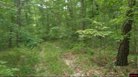 481 TIMBERLINE ROAD, Willow Springs, MO 65793