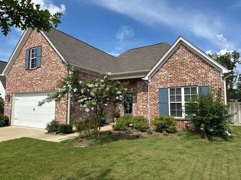 806 Oak Grove Lane, Oxford, MS 38655