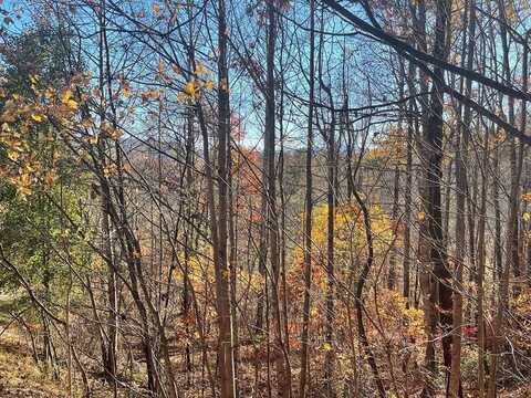 Lot 41c Ash Branch Circle, Hayesville, NC 28904