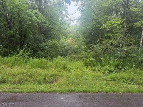 Mahan Denman Road NE, Bristolville, OH 44402