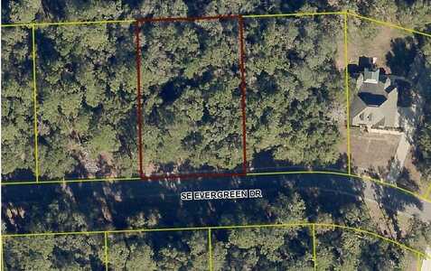 945 SE EVERGREEN DR, Lake City, FL 32025