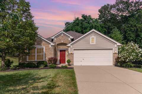 8411 Old World Court, Union, KY 41091
