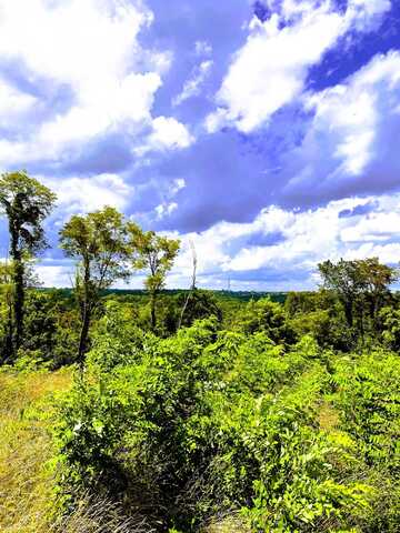 5 Ac Oak Ridge Road, Williamstown, KY 41097
