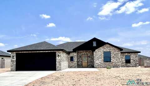 1005 N Eisenhower Road, Roswell, NM 88201
