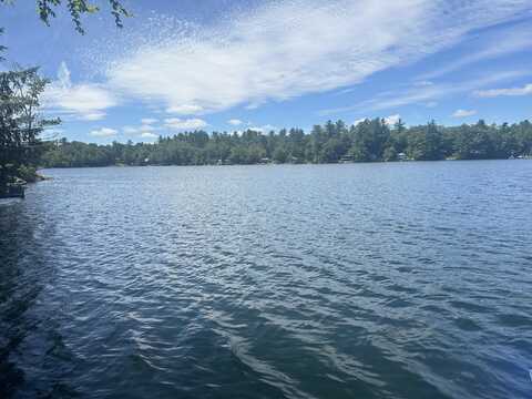 Lot 22 Rand Pond Road, Goshen, NH 03752