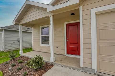 803 Ginkgo Way, Princeton, TX 75407