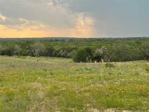 4462 Honey Creek Crossing, Hico, TX 76457