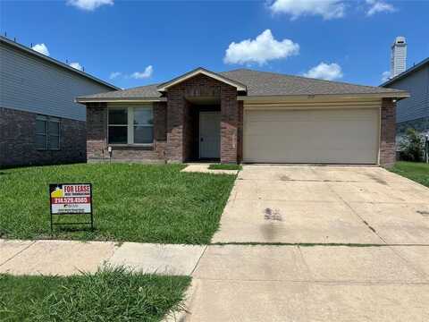 2329 Live Oak Drive, Little Elm, TX 75068