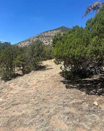 54 Tanglewood, Datil, NM 87821