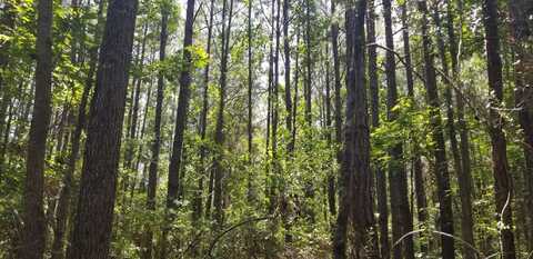 18000 AL Hwy 219, Marion, AL 36756