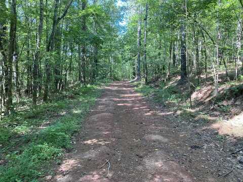0 Poe Bridge Road, Goodwater, AL 35072