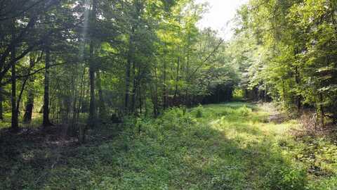 0 Fivel Rd, Ridgeville, SC 29472