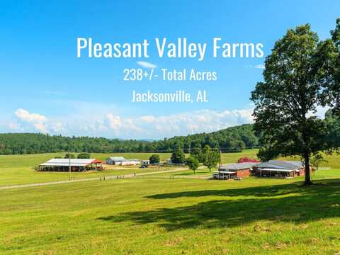 3221 Pleasant Valley Road, Jacksonville, AL 36265