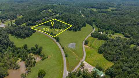 0 Pleasant Valley Road, Jacksonville, AL 36265