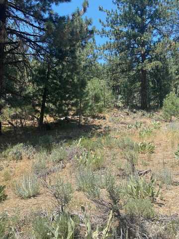 6213 Cemetery Road, Portola, CA 96122