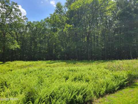 Lot 18 Fern Drive, Hawley, PA 18428