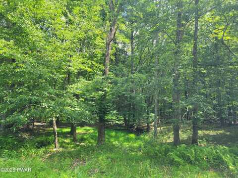 Lot 19 Fern Drive, Hawley, PA 18428