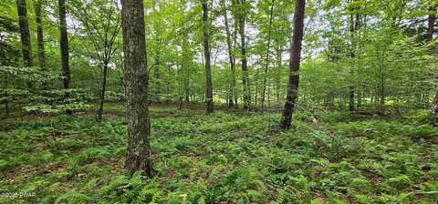 492 Chicopee Road, Equinunk, PA 18417