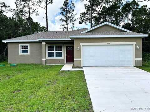 7908 N Galena Avenue, Citrus Springs, FL 34434