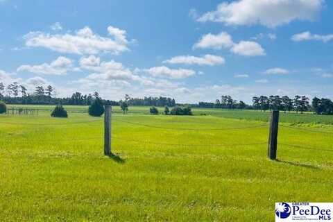 TBD Bud Graham Road, Galivants Ferry, SC 29544