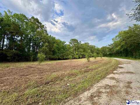 3.40 +/- Freeman Loop Road, Chesterfield, SC 29709