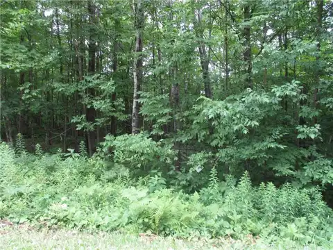 Lot #99 Woods Avenue, Birchwood, WI 54817