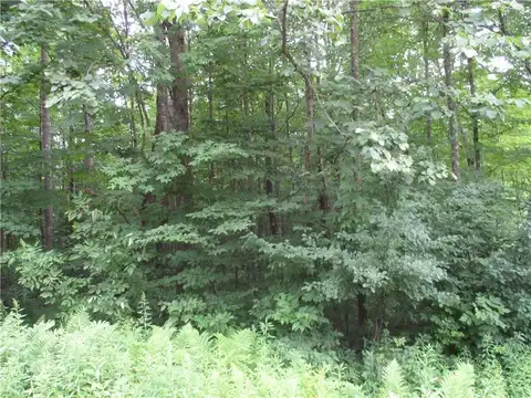 Lot #100 Woods Avenue, Birchwood, WI 54817