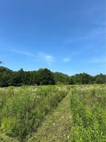 9.19 Acres 105th Avenue, Jim Falls, WI 54727