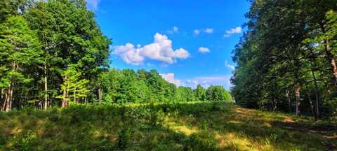 000 Old Gordon Road, Grandview, TN 37337