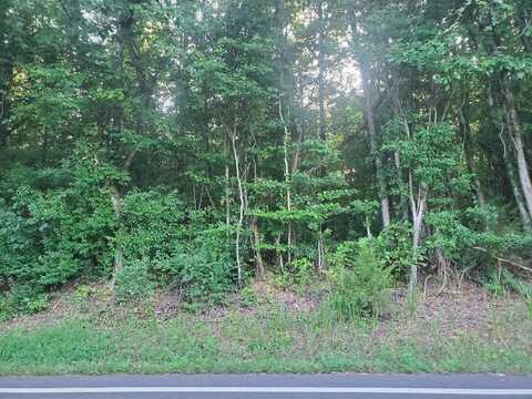Lot 9 Highway 304, Decatur, TN 37322