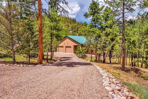 133 Mineshaft Place, Cotopaxi, CO 81223