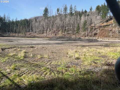 50389 MCKENZIE HWY, Vida, OR 97488