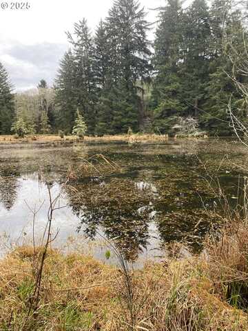 Wildwood Dr, North Bend, OR 97459