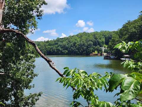 Lot 32 Lake View Point, Glade Hill, VA 24092